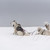 takım · köpekler · kar · fırtınası · sahil · köpek · kar - stok fotoğraf © MikhailMishchenko