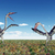 Pterosaur Quetzalcoatlus stock photo © MIRO3D