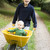 Boy pushing toddler in wheelbarrow stock photo © monkey_business