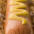 hot · dog · Zwiebeln · Senf · Essen · Kochen - stock foto © monkey_business