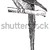 Parakeet, vintage engraving. stock photo © Morphart