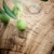 măsline · ramură · lemn · vară · măsline · natură - imagine de stoc © mythja