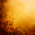 automne · design · floral · laisse · saison · couleurs - photo stock © mythja