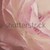 zachte · pastel · bloem · gekleurd · steeg - stockfoto © nailiaschwarz