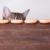 Cat and Sausages stock photo © nailiaschwarz