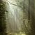 percorso · primavera · boschi · all'alba · foresta · misty - foto d'archivio © nature78