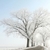 arbres · ensoleillée · hiver · matin · couvert · gel - photo stock © nature78
