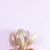 magnolie · flori · roz · primăvară · natură - imagine de stoc © neirfy