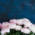 taze · mavi · pembe · çiçekler · karanlık - stok fotoğraf © neirfy