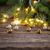 christmas background with lights stock photo © neirfy