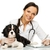 Young positive brunette veterinary woman with spaniel taking notes on tablet pc stock photo © Nejron