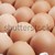 fresh eggs stock photo © nessokv