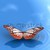 Schmetterling · schönen · Flügel · Natur · Schönheit · Sommer - stock foto © njaj