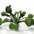 Venus flytrap and  fly on a white background stock photo © njaj
