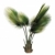 palmier · alb · frunze · palmier · verde · tropical - imagine de stoc © njaj