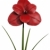 roşu · floare · alb · primăvară · dragoste · verde - imagine de stoc © njaj