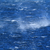 mare · rabbioso · onde · vento · acqua - foto d'archivio © Nneirda