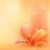 pastel · orange · Lily · lumière · beauté · couleur - photo stock © nurrka