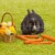復活節兔子 · 雞蛋 · 籃 · 紅蘿蔔 · 綠草 · 喜歡 - 商業照片 © nyul