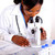Medical doctor female working with a microscope stock photo © pablocalvog
