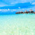 plage · plage · tropicale · palmiers · bleu · nature - photo stock © Pakhnyushchyy