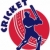 cricket sports batsman batting retro stock photo © patrimonio