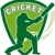 cricket player batsman batting shield stock photo © patrimonio