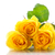 citromsárga · rózsák · virágcsokor · gyönyörű · fehér · tavasz - stock fotó © Peredniankina