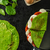 Homemade spinach crepes stock photo © Peteer