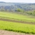 spring landscape with fields in Southern Moravia, Czech Republic stock photo © phbcz
