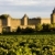 Carcassonne, Languedoc-Roussillon, France stock photo © phbcz