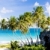 Unterseite · Barbados · Karibik · Baum · Landschaft · Meer - stock foto © phbcz
