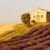 chapel with lavender and grain fields, Plateau de Valensole, Pro stock photo © phbcz