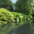 tuinen · Ierland · reizen · planten · vijver · outdoor - stockfoto © phbcz