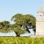 Chateau de la Tour, By, Bordeaux Region, France stock photo © phbcz