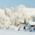 République · tchèque · paysage · neige · arbres · hiver · plantes - photo stock © phbcz