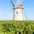 vineyard with windmill near Blaignan, Bordeaux Region, France stock photo © phbcz