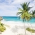 dolny · Barbados · Karaibów · drzewo · krajobraz · morza - zdjęcia stock © phbcz