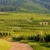 vineyards, Alsace, France stock photo © phbcz