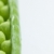 close up of pea pod stock photo © phbcz