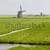 windmill near Steefkerk, Netherlands stock photo © phbcz