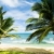 Barbados · caribbean · ağaç · manzara · deniz · yaz - stok fotoğraf © phbcz