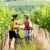 bikers in vineyard, Czech Republic stock photo © phbcz