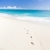 Barbados · Karibik · Landschaft · Meer · Sommer · Sand - stock foto © phbcz