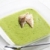brokuły · kalafior · zupa · zielone · tablicy - zdjęcia stock © phbcz