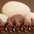 Easter chocolate stock photo © phbcz