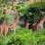 sawanna · safari · zachód · Kenia · Afryki - zdjęcia stock © photocreo