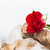 赤いバラ · ビーチ · 愛 · ロマンス - ストックフォト © photocreo