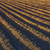 campo · padrão · solo · batatas - foto stock © photosebia