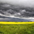 burzowe · chmury · saskatchewan · półka · Chmura · ostrzeżenie - zdjęcia stock © pictureguy
